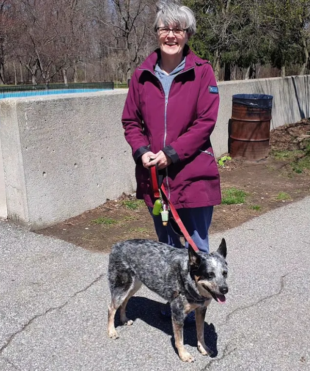 Stop Dog Pulling Dog Training Dallas