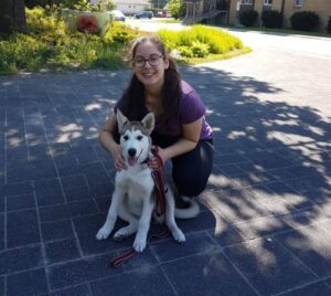 Puppy Training Plano TX