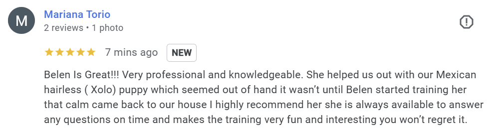 Sunny Dog Training Dallas Review