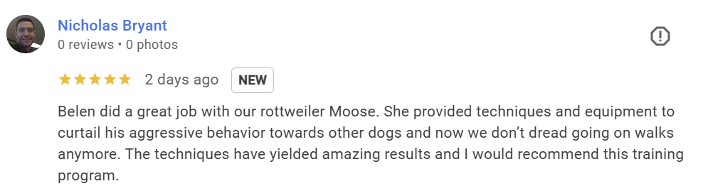 Leash reactivity Sunny Dog Training Dallas Review