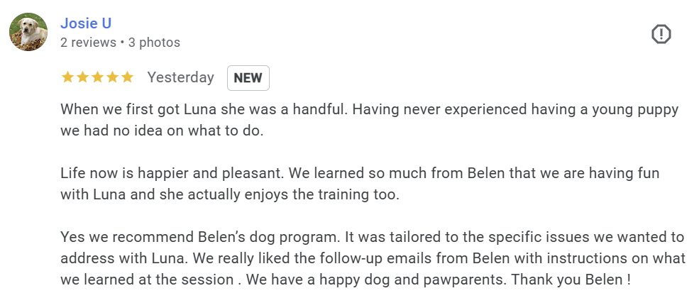 Sunny Dog Training Dallas Review
