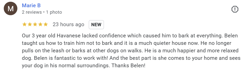 Stop Barking Sunny Dog Training Dallas Review