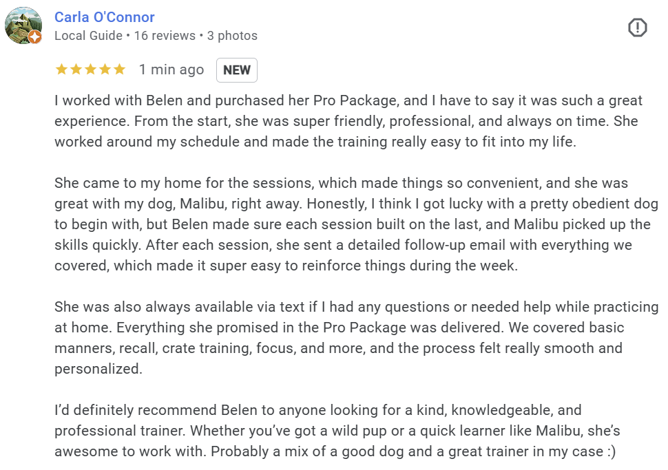 Sunny Dog Training Dallas Review