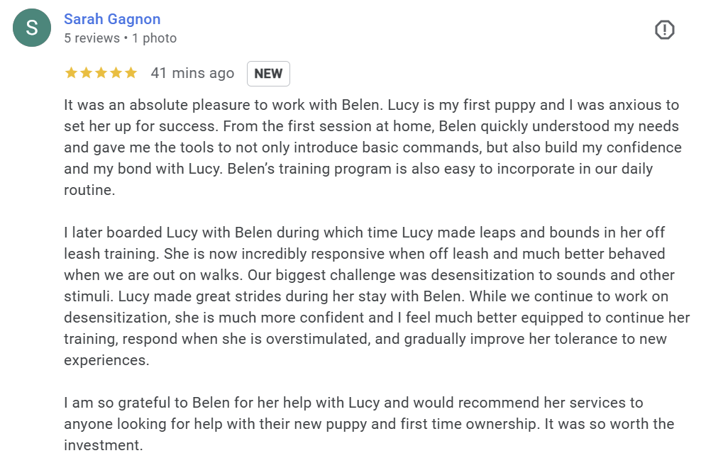 Sunny Dog Training Dallas Review