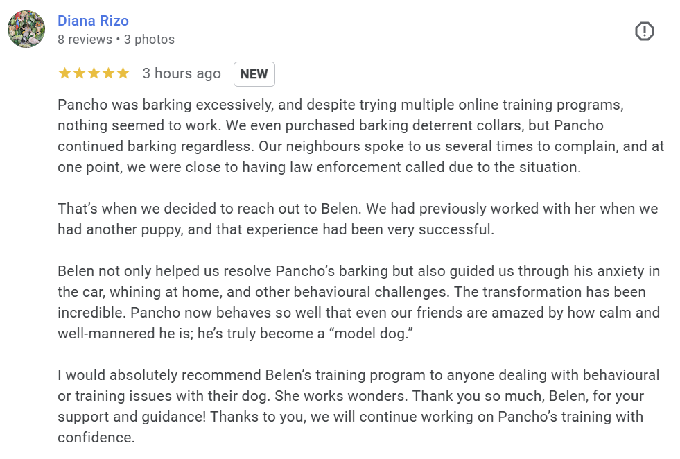 Stop Anxiety Sunny Dog Training Dallas Review