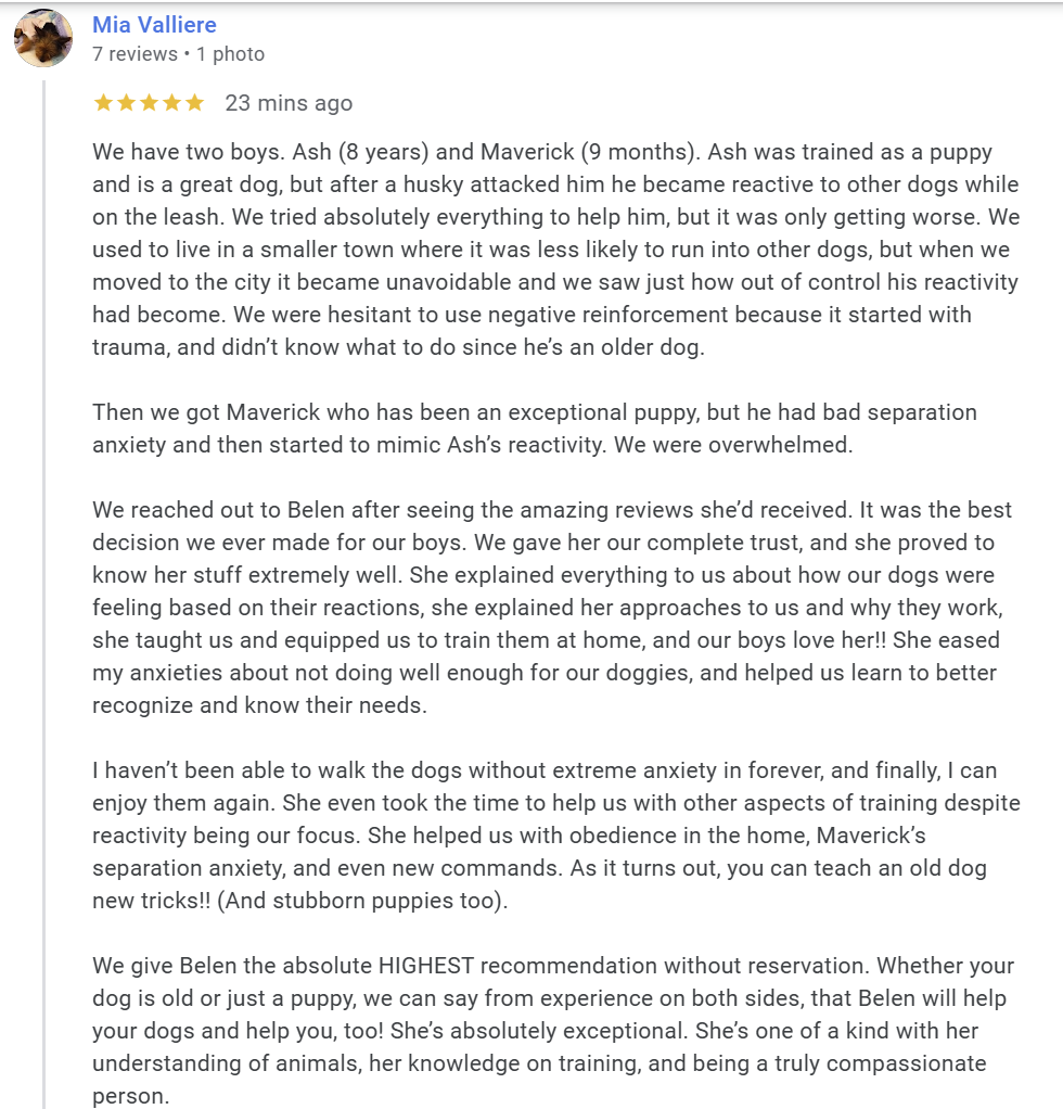 Stop leash reactivity Sunny Dog Training Dallas Review